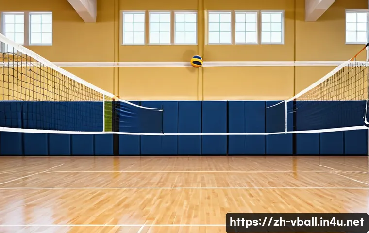 배구 실습장비 목록 - A professional indoor volleyball court scene featuring a sturdy, adjustable net set at the standard ...