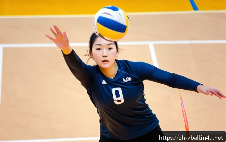 배구 네트 셋업 방법 관련 이미지 1