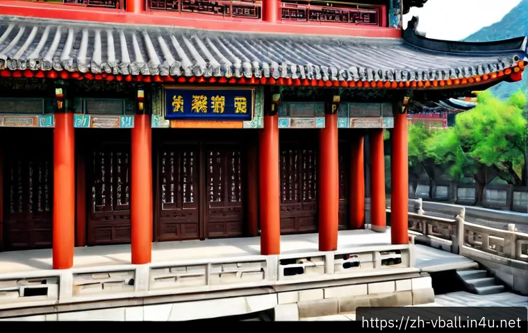如何选择适合自己的排球线上课程:内容、教练、价格与训练效果对比 4 배구 관련 온라인 강의 관련 이미지 2
